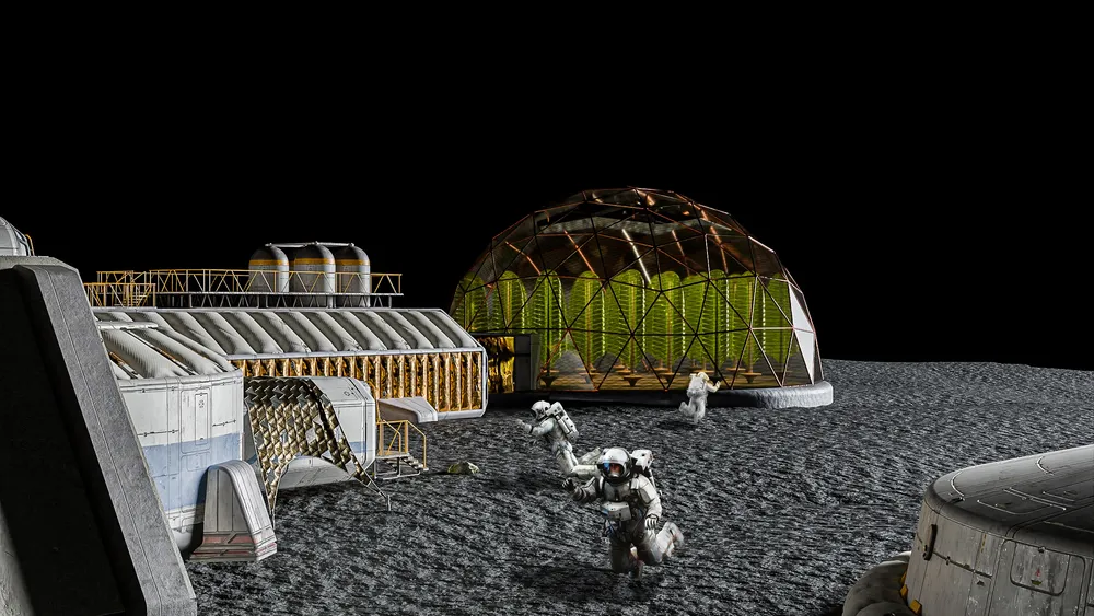 Microalgae On The Moon